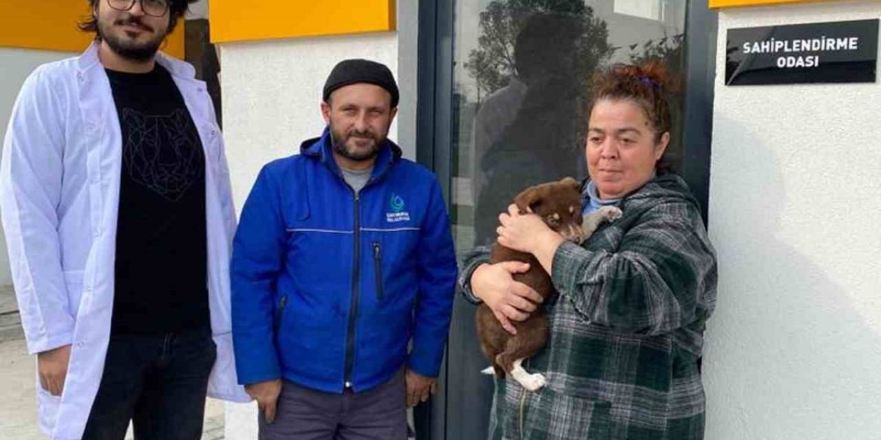 Sokak Hayvanları Bakımevi’nde İlk Sahiplendirme Yapıldı