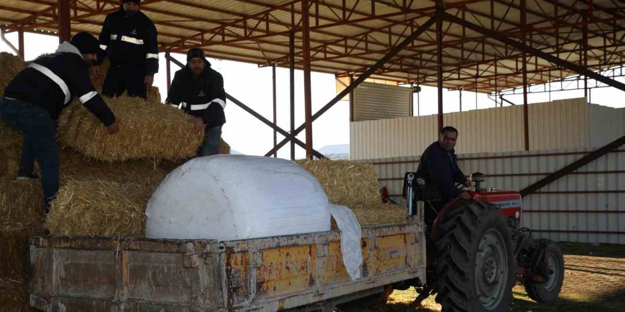 Şehzadeler Belediyesi Tarım Projesi İle Üreticinin Elini Güçlendirdi