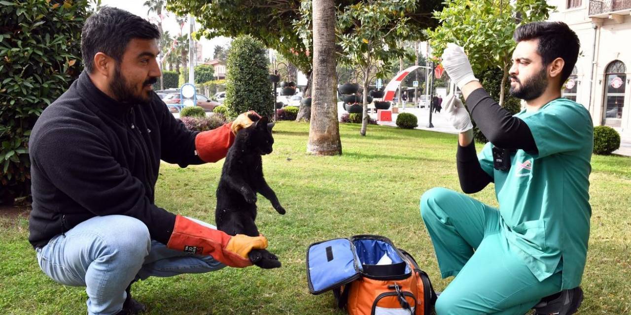 Kaşlı Bakımevi Binlerce "Can Dostun" Yaşamına Dokundu