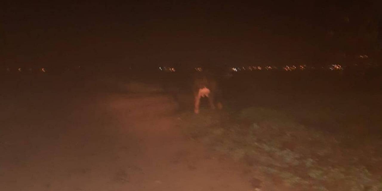Jandarma Kayıp Hayvanı Buldu