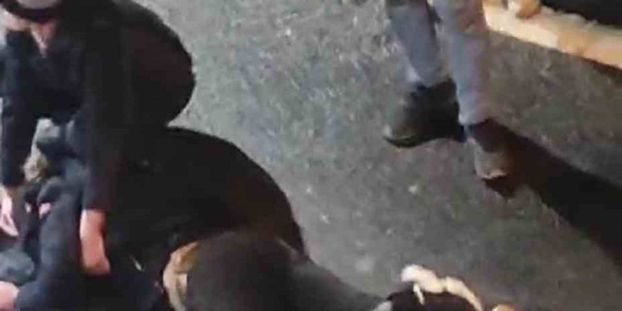 İstanbul’da Dehşet Anları Kamerada: Annesiyle Tartışıp Yola Atladı, Kadın Sinir Krizi Geçirdi