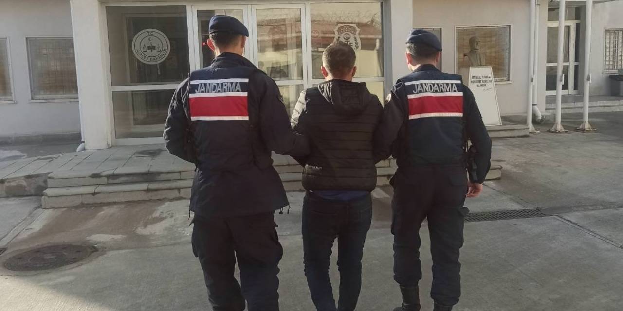 Aydın Jandarmasından Eş Zamanlı Operasyon: 15 Gözaltı
