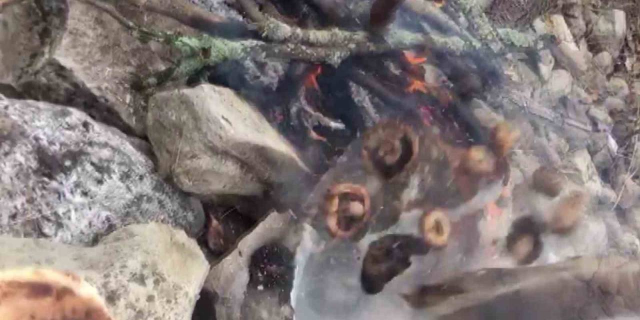 Mantar Ziyafeti Patlamayla Son Buldu