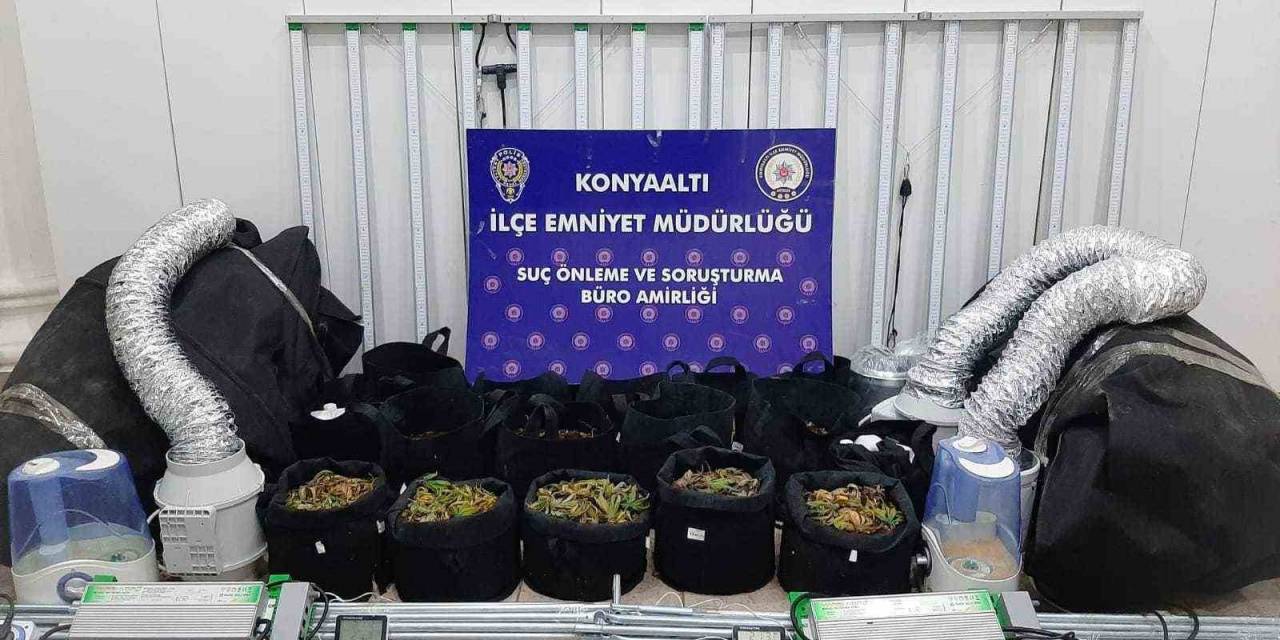 Evinde Uyuşturucu Madde İmal Edip Satan Şüpheli Yakalandı