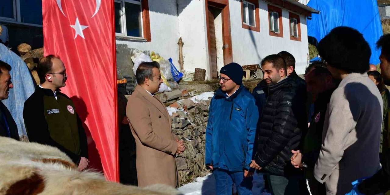 Aşılama İle Buzağı Ölümlerinin Azalması Hedefleniyor