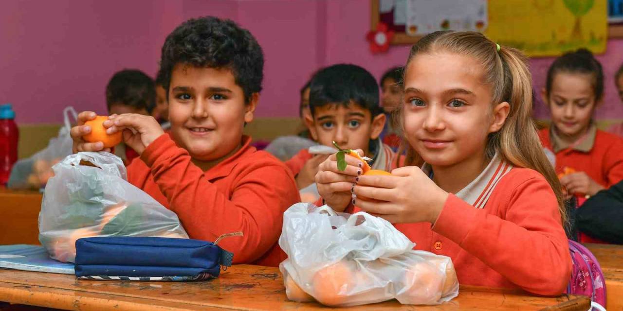 Mersin’deki Okullardaki Çocuklara 100 Ton Narenciye Dağıtılacak