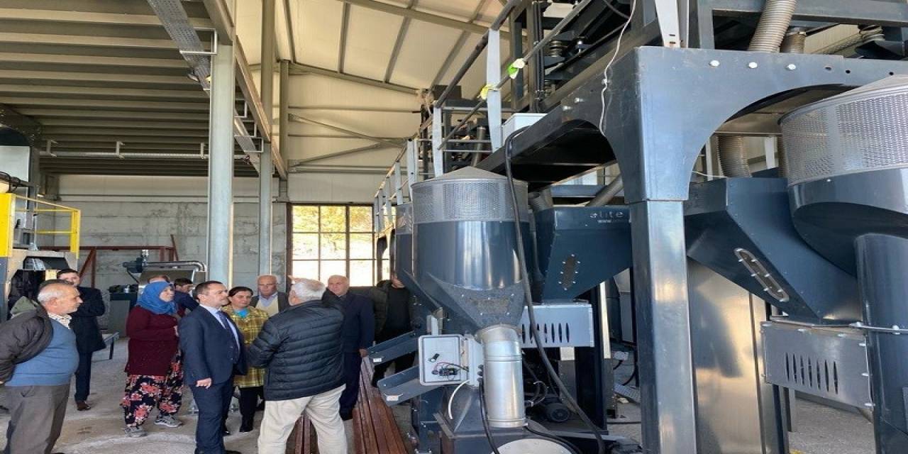 Vali Aktaş, Antepfıstığı İşleme Ve Paketleme Tesisinde İncelemelerde Bulundu