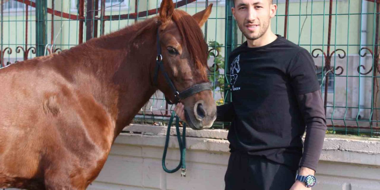 Atalarından Devraldıkları Rahvan Atlarına Gözleri Gibi Bakarak Yarışlara Hazırlıyorlar