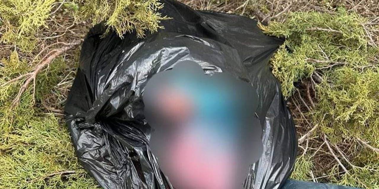 Tunceli’de Kaçak Avcılık Yapan 2 Şahsa 308 Bin Lira Ceza Kesildi