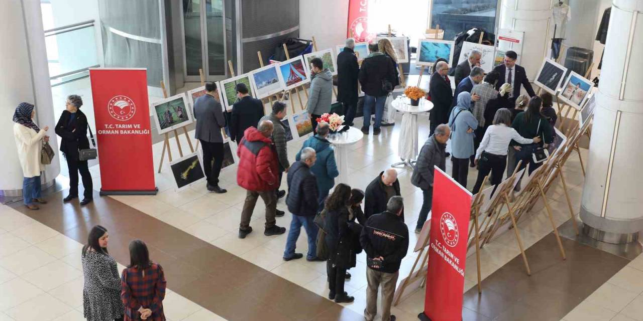 Eskişehir’de Tarım, Orman Ve İnsan Temalı Fotoğraf Sergisi Açıldı