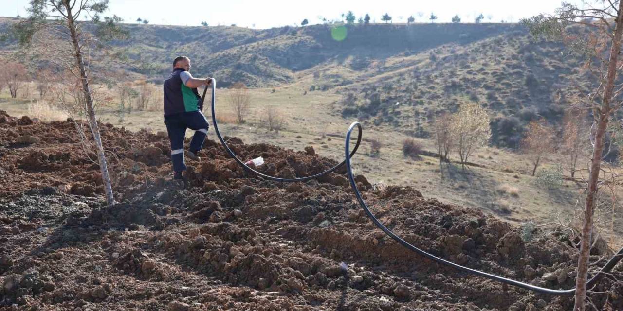 Gölbaşı Belediyesi, Park Ve Bahçelerde Peyzaj Çalışmasını Sürdürüyor