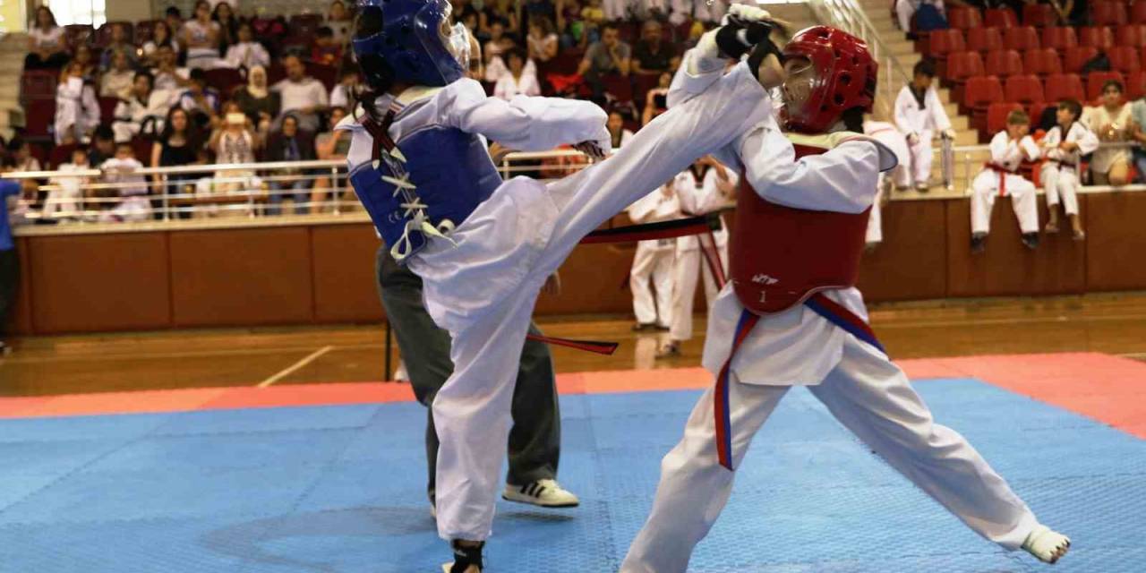 Aydın’da Savunma Sporlarına İlgi Artıyor