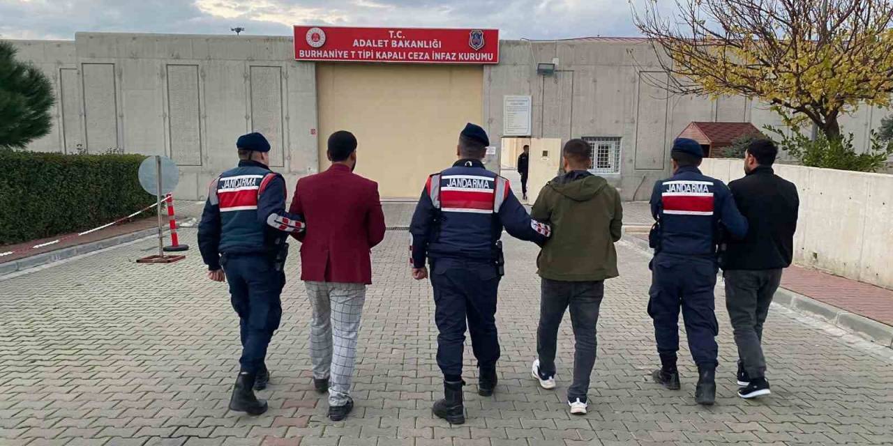 Zeytin Hırsızlığı İddiasıyla Adliyeye Sevk Edilen Zanlı: “Paşa Paşa Yatarız”