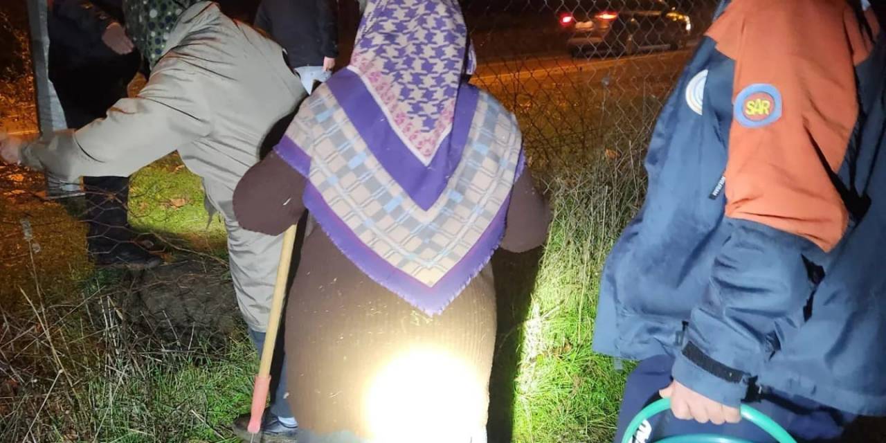 Yalova’da Mantar Toplarken Ormanda Kaybolan 3 Kişi Kurtarıldı