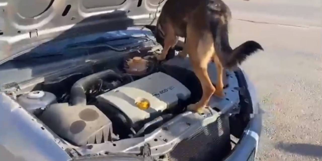Aracın Motorunda Uyuşturucu Çıktı