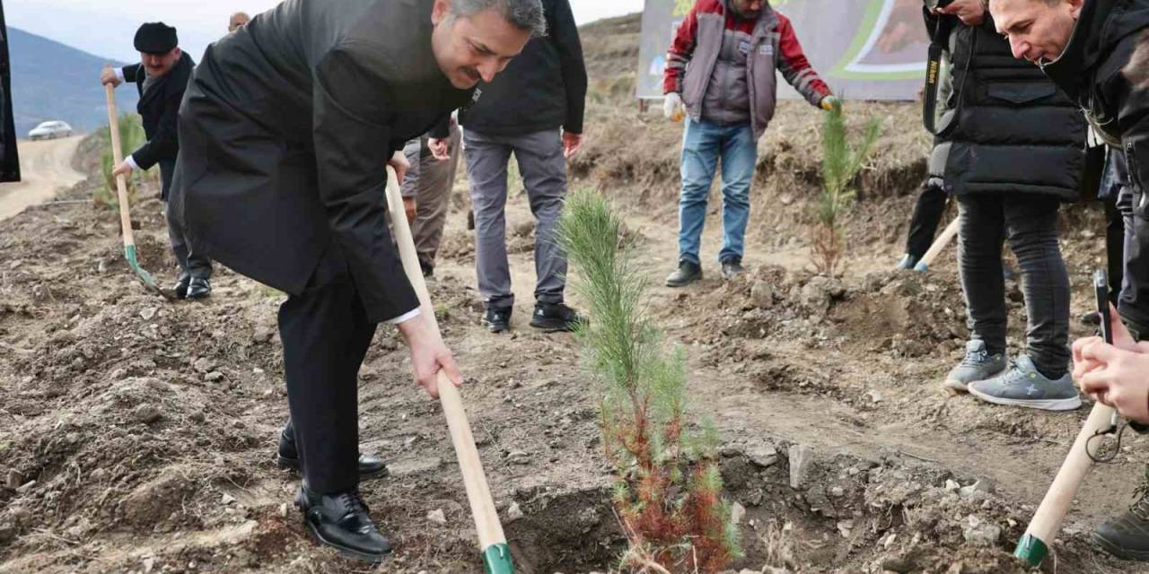 Tokat Belediyesi 10 Yılda 260 Bin Fidanı Toprakla Buluşturdu