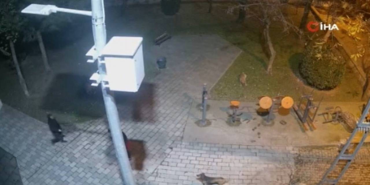 Ümraniye’de Köpeklere Ateş Eden Sanık Bu Kez De Avukat Tehdit Etti
