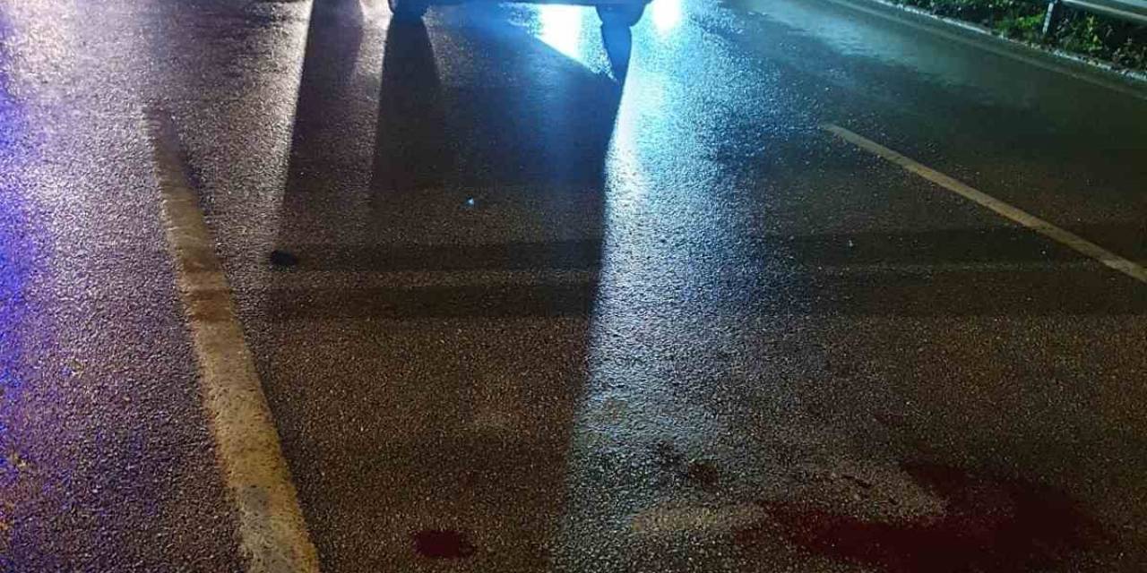 Bursa’da Yoldan Karşıya Geçmek İsteyen Adama Otomobil Çarptı: 1 Yaralı