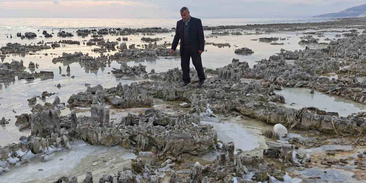 Kuraklık Van Gölü Sahilini Mikrobiyalit Tarlasına Dönüştürdü