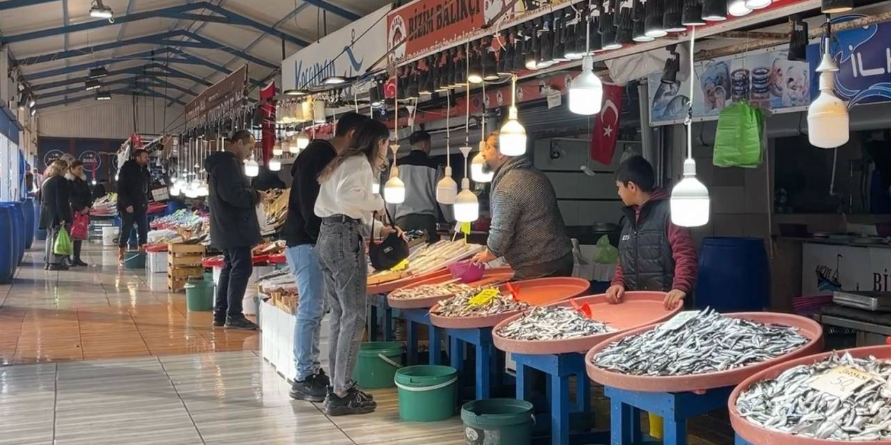 Büyük Balık Küçük Balığı Yiyemedi, Hamsi Bollaştı