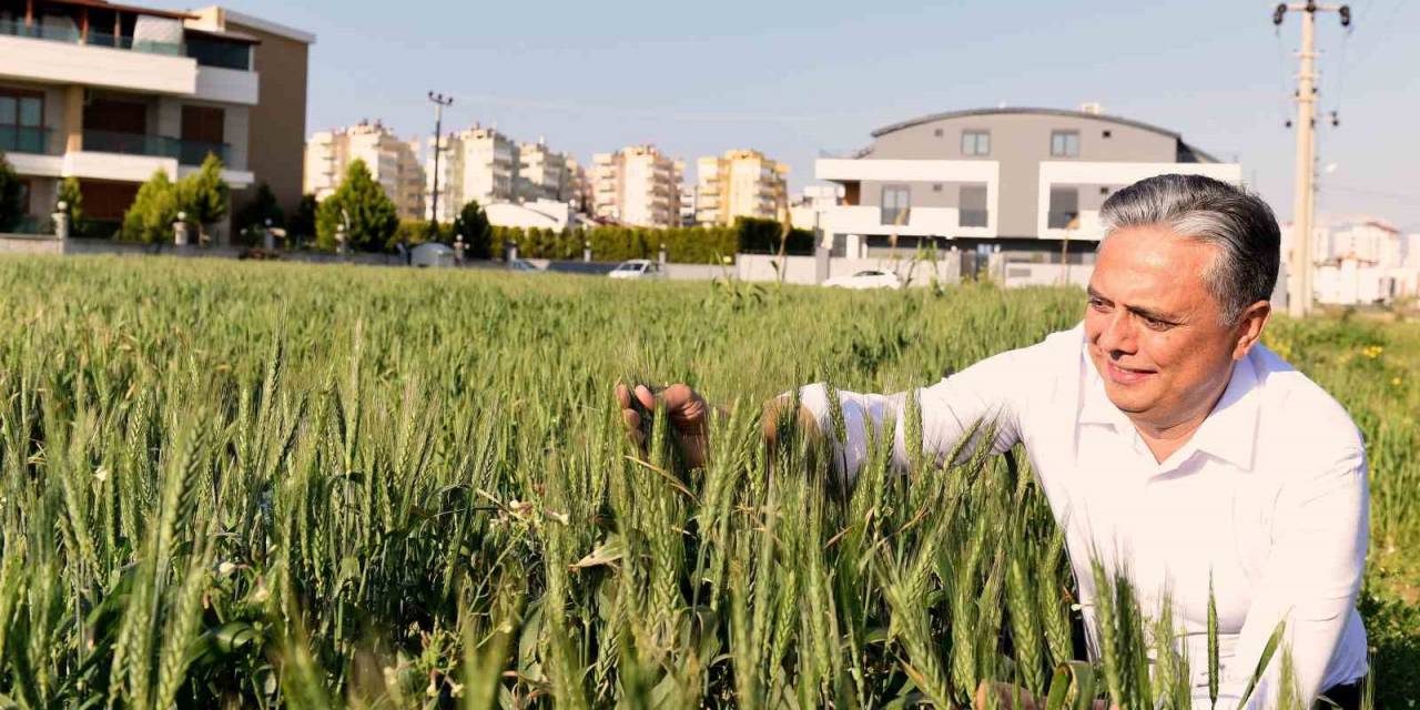 Muratpaşa Gıda Politika Rehberi Geliyor