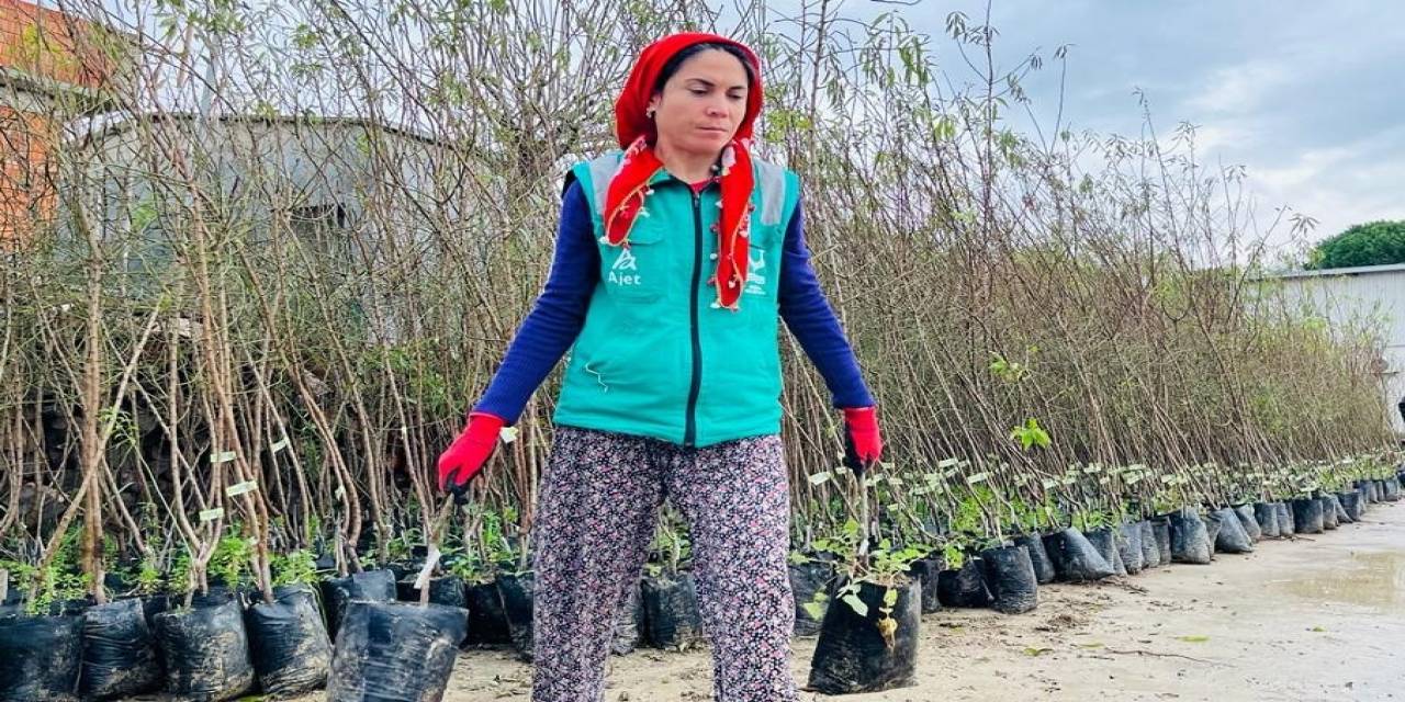 Aliağa Belediyesinden Üreticilere 18 Bin 600 Adet Fidan Desteği