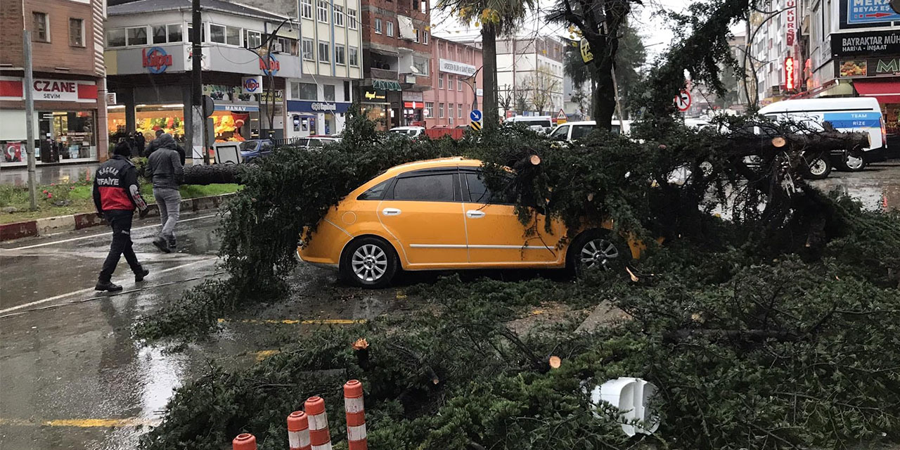 Fırtınanın Devirdiği Ağaç Taksilere Zarar Verdi