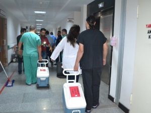 Organları 3 Hastaya Umut Oldu