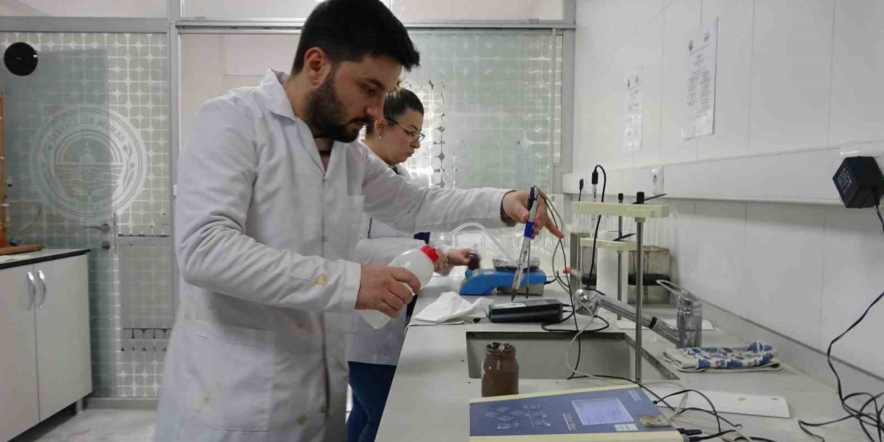 Zeytinin Verimliliği İçin Toprak Analizleri Başladı