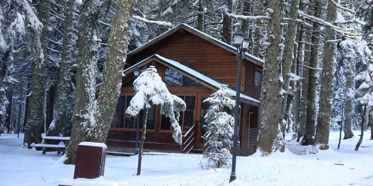 Uludağ’a Kar Yağdı, Orman Evleri’ne İlgi Arttı