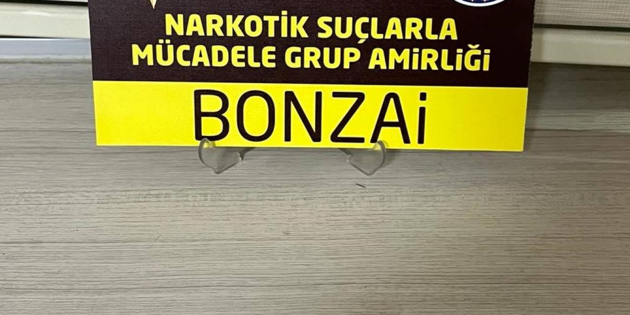 Uyuşturucu İle Yakalanan 2 Şüpheli Gözaltına Alındı