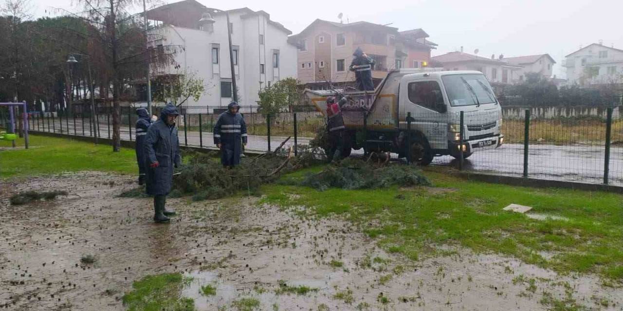 Ordu’da Fırtına 12 Çatıyı Uçurdu