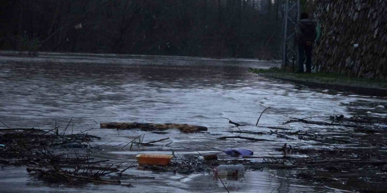 Asfaltta Balık Avladı