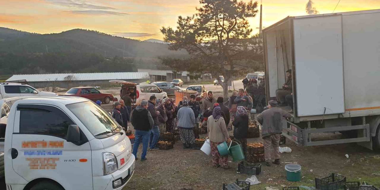 Uludağ’ın Eteklerinden ’kanlıca Mantarı’ Fışkırıyor