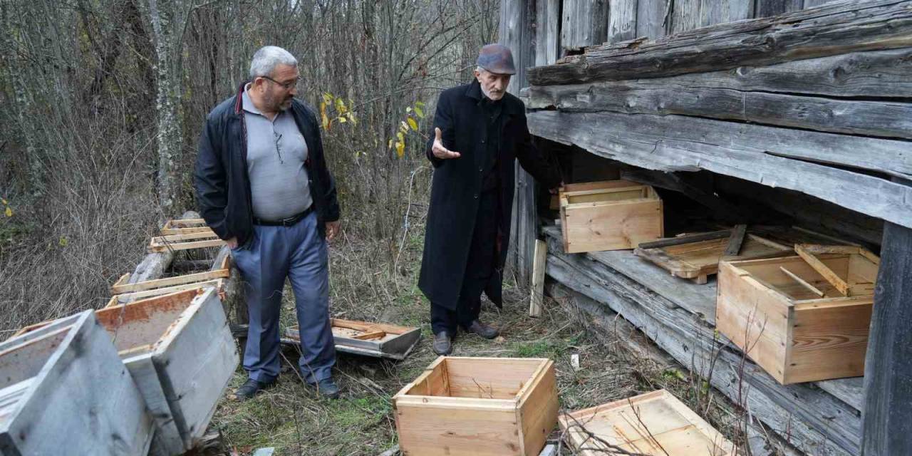 Kış Uykusuna Yatamayan Ayılar, İndikleri Köyde 50 Arı Kovanını Parçaladı