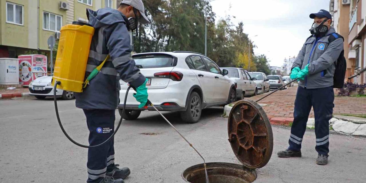 Büyükşehir Belediyesi, Vektörel Mücadeleyi Kışın Da Sürdürüyor