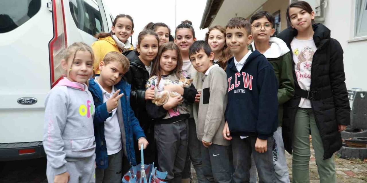 Çocuklar İle Belediye El Ele Kedilere Umut Oluyor
