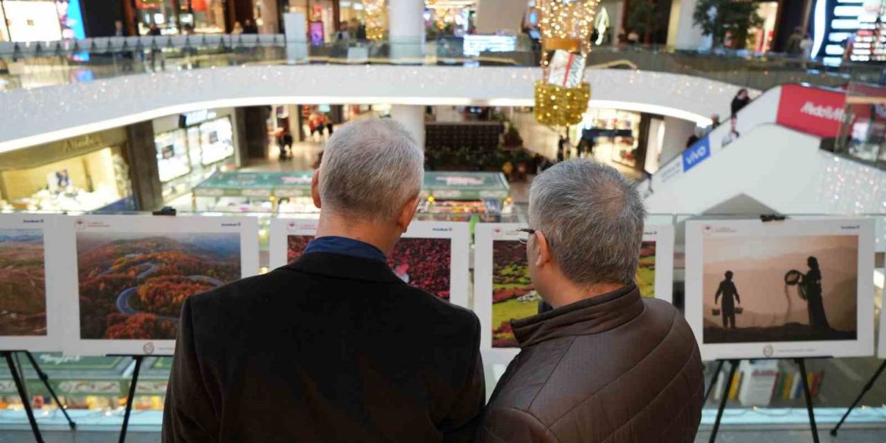 Tarım, Orman Ve İnsan Fotoğraf Sergisi Samsun’da Ziyarete Açıldı