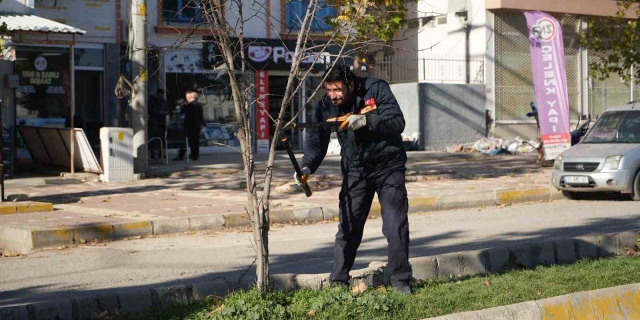 Yeşil Alan Düzenleme Çalışmalarıyla Adıyaman Güzelleşiyor