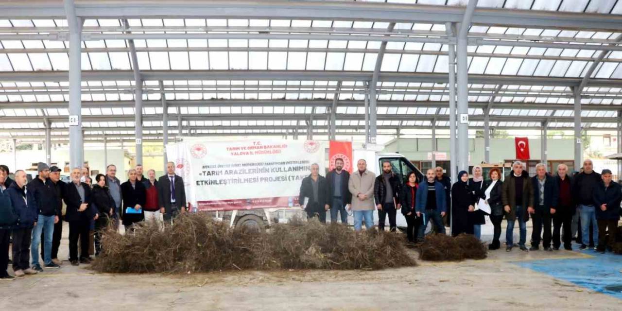 Yalova’da Çiftçilere Trabzon Hurması Ve Ceviz Fidanı Dağıtıldı