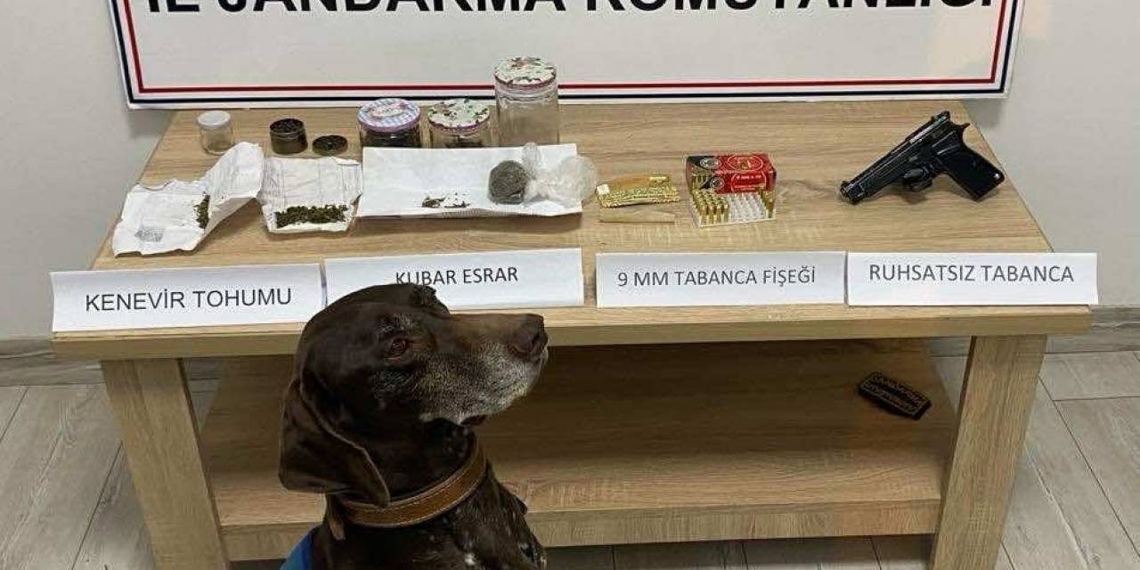 Uyuşturucu Maddeyle Yakalanan Şahıs Gözaltına Alındı