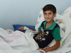 Kabuklarıyla Yenen Çekirdek Ameliyat Sebebi Oldu