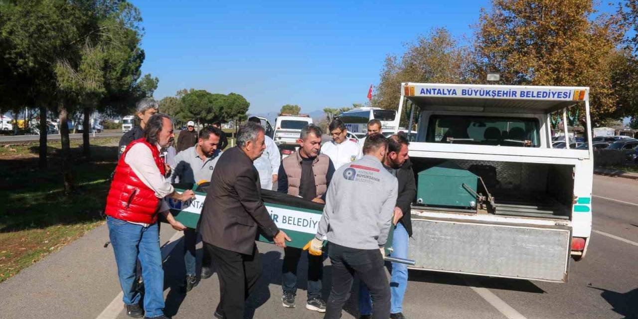 Bahçesine Gitmek İsterken Otomobilin Çarpmasıyla Can Verdi