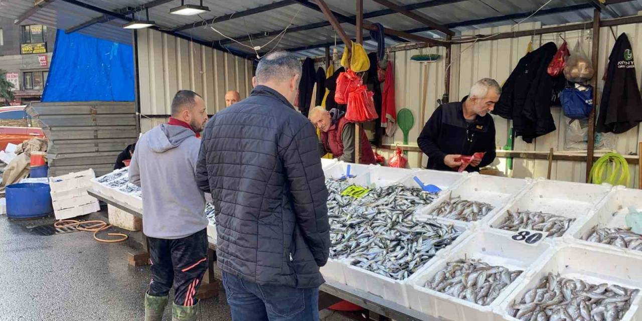 Balık Fiyatları Düşünce, Yoğun İlgi Başladı