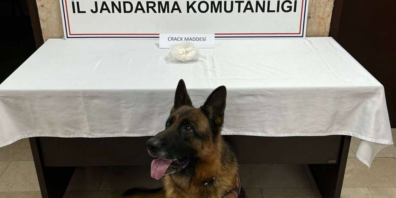 Uyuşturucu Kullananlar Hakkında İşlem Yapıldı