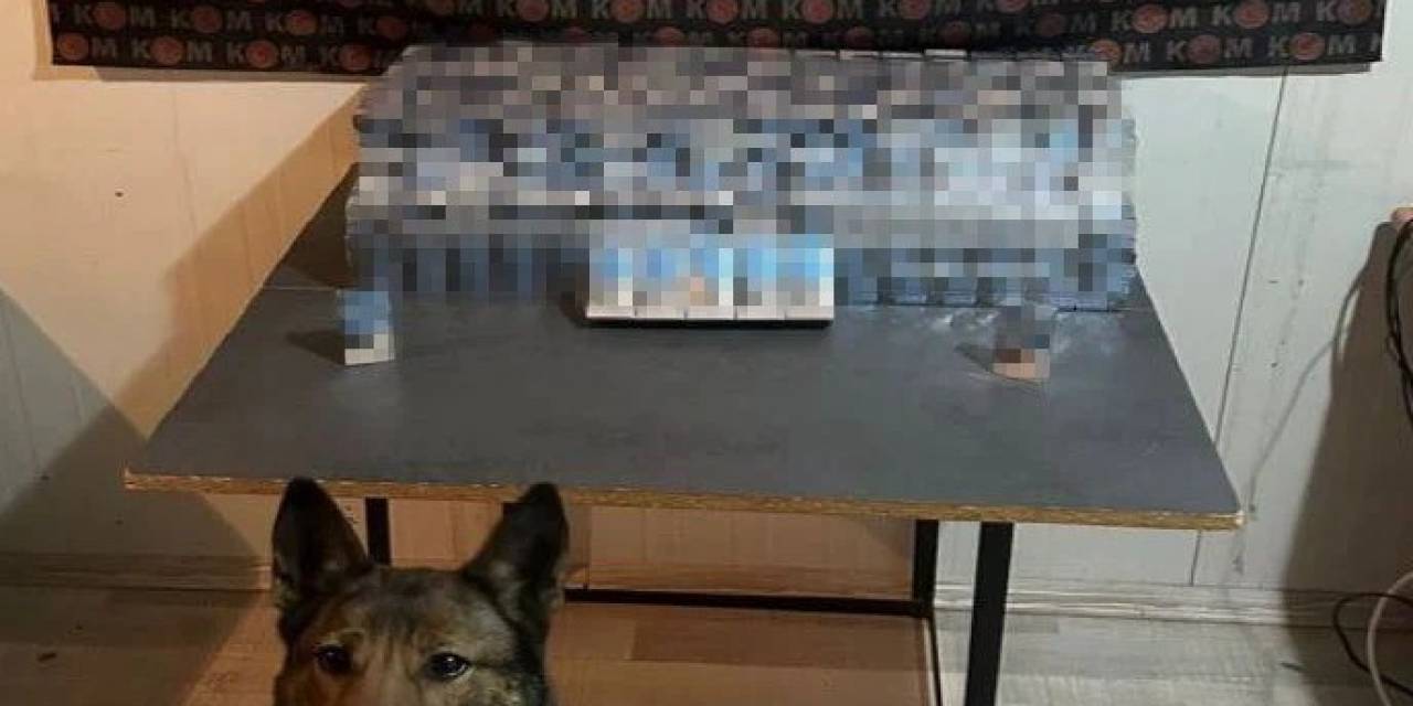 Erzincan’da Kaçak Sigara Operasyonu: 1 Gözaltı