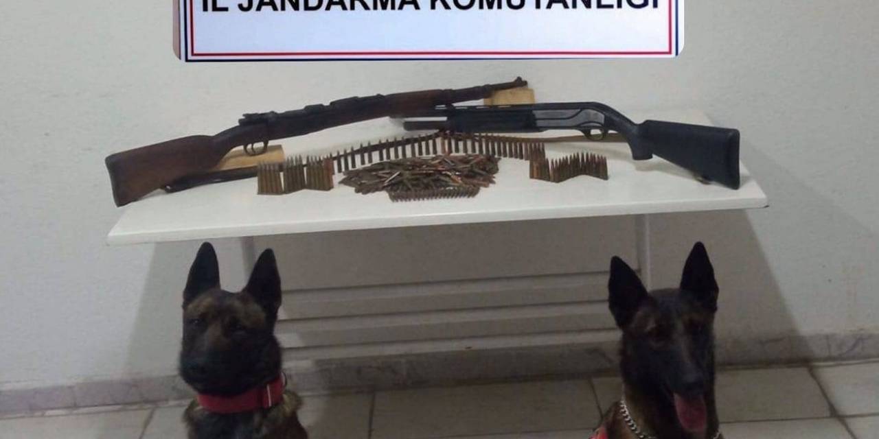 Iğdır’da Silah Kaçakçılığı Operasyonu: 1 Tutuklama