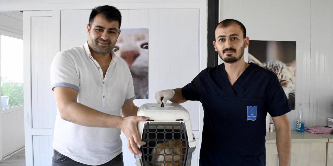 Kuşadası’nda Minik Patili Can Dostların Sağlığı Emin Ellerde