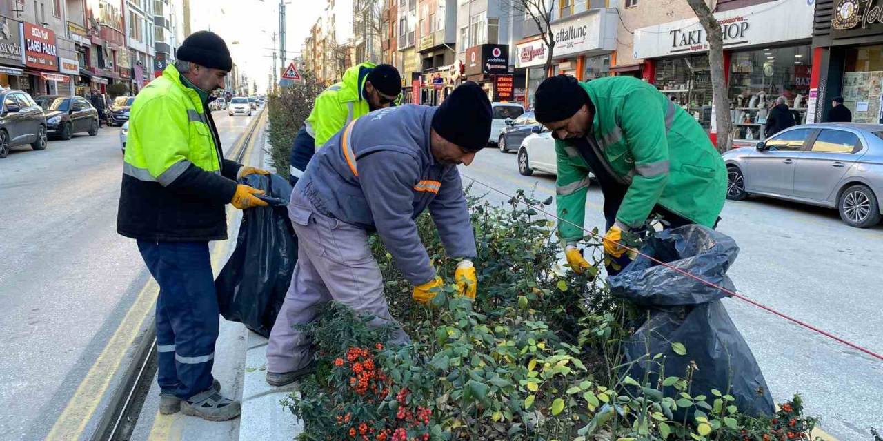 Bozüyük’te Park Bahçelerde Bakım Ve Temizlik Çalışmaları Sürüyor
