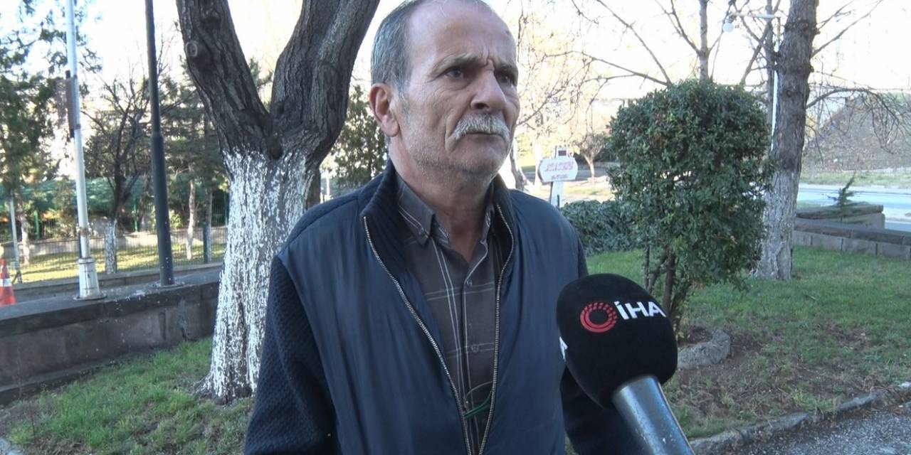 Afrika’dan Öğrenim İçin Geldiği Ankara’da Sokak Köpekleri Hastanelik Etti
